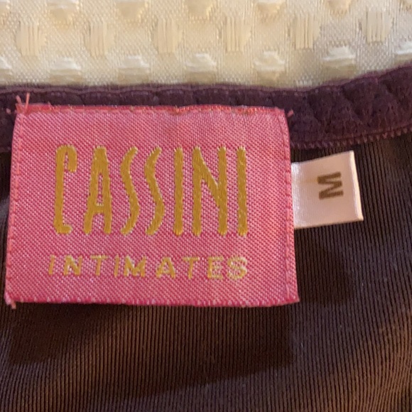 Vintage 90’s Velvet Bra & Panty set. - Picture 10 of 12